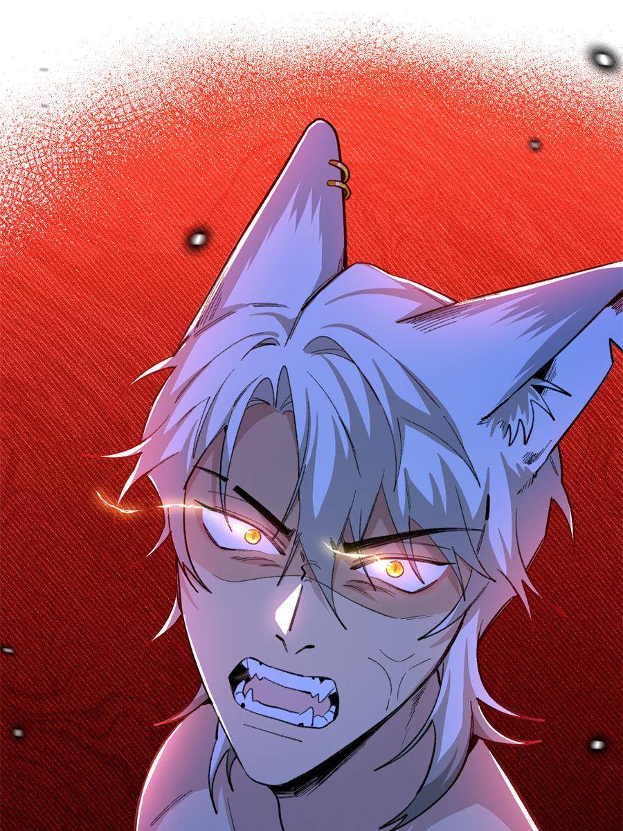 81490467 900 1200 235274